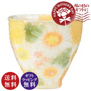 yzH[䂸 ʐFG  CG[î ݁jiMtg v[g 蕨 ̓ a V jj[z֔zi[ւƃlR|X͕sj]y