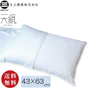 【送料無料】天絹 2 シルク交織サテン 洗えるまくらカバー テンケン 2【43×63cm】(ピローケース シルク 綿 絹 コットン 枕カバー)【メール便対応】