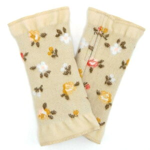 yztXyLachique moizVNA nhEH[}[ t[u[P Vo[O[Ex[WElCr[u[iv[g a NX}X KN o ԕ w 