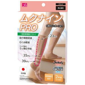 NEEDS LABO j[Y{ ʈË@T|[^[ \bNX@NiCv ubNEx[Wijp 2gEp szi ނ݌y pt̂،y iK  r