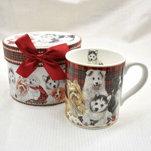 MtgBOX }OJbv NX}X}O 36173iCk   Xmas ̓ Jbv zj V w  ij AE Mtg 蕨 v[g Christmas NX}Xj[z֔zi[