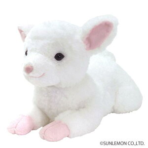 ЂЂ ʂ S iqcW r a ̓ v[g 蕨 Mtgj[z֔zi[ւƃlR|X͕sj]