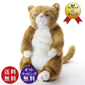 楽天市場 ぬいぐるみ 猫の通販