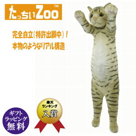 たっちぃZOO にゃんこ キジトラ ぬいぐるみ（ねこ ネコ プレゼント ギフト 贈り物 母の日 誕生日 新生活 就職 進級 進学 お祝い）