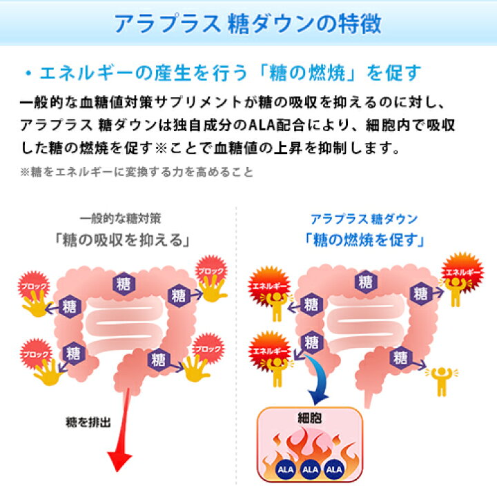 583円 【2021福袋】 アラプラス 糖ダウン 10粒 583円 【2021福袋】 アラプラス 糖ダウン 10粒