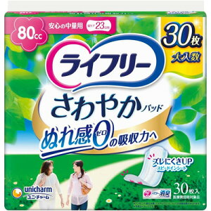 yj`[zCt[ ₩pbhS̒ʗp 30y֗pi