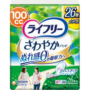 yj`[zCt[ fB ₩pbhłKp 100cc 26yCt[zy֗pi