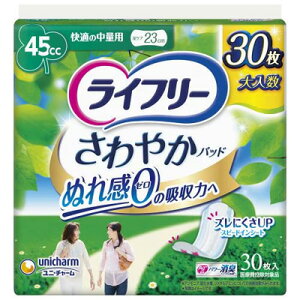 yj`[zCt[ ₩pbh K̒ʗp 30y֗pi