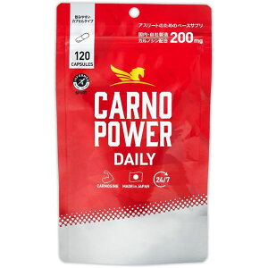 n}̌NHi Jmp[ DAILY 120 JmV X|[cTvg C~_][Wyv`h A~m_ AX[g }\ gCAX NG_ ؃g n}̌NHi