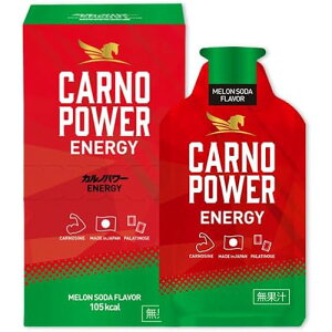 li Jmp[ENERGY MELON SODA Flavorʏ`y\[_z1i40g×10jJmV@AX[g@GiW[WF@GlM[⋋