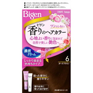 �z�[���[�r�Q�� ����̃w�A�J���[ �N���[��6 �_�[�N�u���E�� 1�Z�b�gbigen �r�Q�� �������߁y��򕔊O�i�z