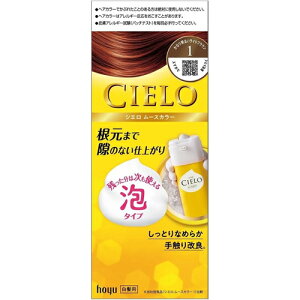 �z�[���[�V�G�� ���[�X�J���[1 ���Ȃ薾�邢���C�g�u���E��1�Z�b�g�������� hoyu CIELO�y��򕔊O�i�z