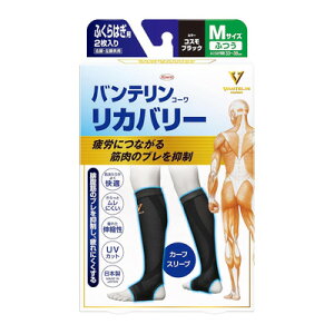 yazoeR[ Jo[ J[tX[u MTCY RXubN 2yӂ͂zyJo[zyKowaz