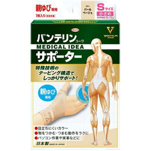 y[ zyazoeR[T|[^[@eѐp STCY yp[x[Wz@1yeїpT|[^[zyT|[^[zyKowazyeсz