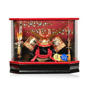 y܌l`zyzEZE叫P[X10㐙@Zppm}P[XFy[߂̐ߋzyP[Xz