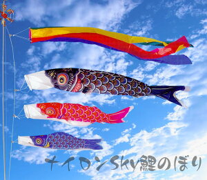 ŷڂzŷڂz2miCSkyFLLԎX^hhyz