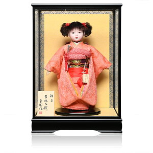 ysl`z13sl`FLiߏցyzFFP[XyЂȐl`zyl`z