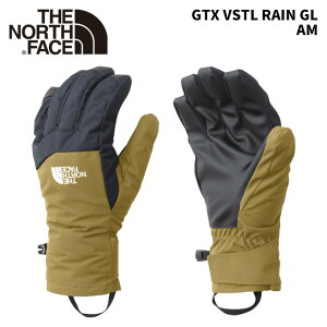 THE NORTH FACEyGTX VSTL RAIN GLFAMzNN62326 m[XtFCX@SAebNX o[T^CCO[u