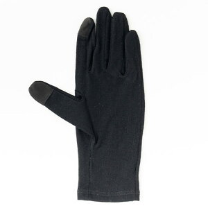 yTR-810MzSWANY Xj[ O[u Pure Merino Glove [MEN] 25-26 f
