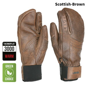 LEVEL ���x�� �O���[�u REXFORD TRIGGER 25-26���f��