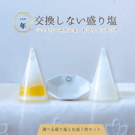 ＼ 選べる 盛り塩 ／ 1年間 交換不要 円錐 1個 八角皿1枚 セット 水晶 【 H6cm size 最小単位で販売！】 ゴールドカラー or 白 風水 玄関 トイレ 浴室 浄化 塩 オシャレ 開運アイテム 天然石 パワーストーン インテリア 風水グッズ