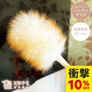 _yVX[p[SALEʉi^yVRrу_X^[z r E[ VRf _X^[ ͂ |   ق ق E[_X^[ r Ђ ӂӂ nfB bv Ɠd p