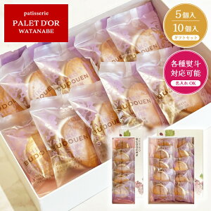 yFԂǂ 5`10Zbgzph[^ix F̘VܗmَqX / [YTu [YTh o^[   Zbg Mtg  XC[c Ăَq mَq 