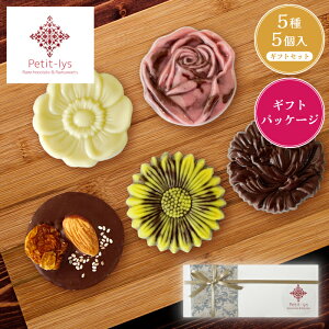 y[`R[g5ZbgzPetit-lys veBX Vs / [`R[g [XC[c `R `R[g r^[ JJI َq XC[c  t[ 킢 