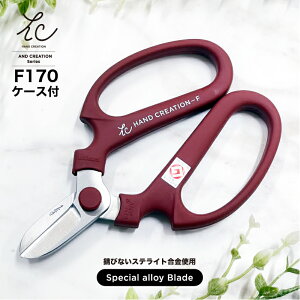 yn悪ΎKтȂXeCggpz ⌹ nhNG[V F-170 XeCg nP[Xt / Ԃ͂  ԃnT~ |͂ | | ԉ ͂ nT~   