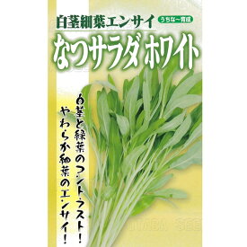 葉野菜(白茎細葉エンサイ) 種 【なつサラダ　ホワイト　1DL】