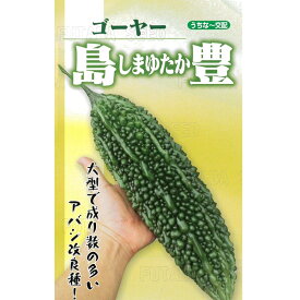 種 【島豊 小袋 (10粒) 】 ゴーヤー フタバ種苗 ※メール便にて発送※