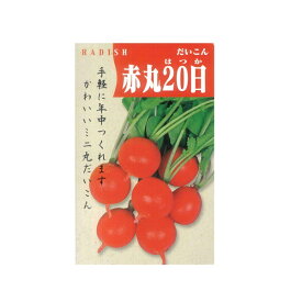 楽天市場 はつか大根 種の通販