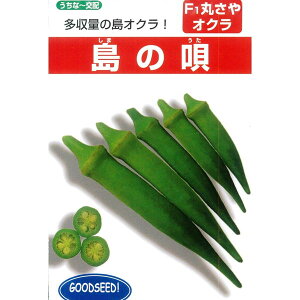 オクラ 種の人気商品 通販 価格比較 価格 Com