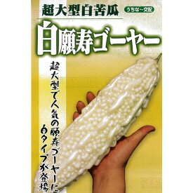 種 【白願寿ゴーヤー 小袋 (8粒) 】 ゴーヤー フタバ種苗 ※メール便にて発送※