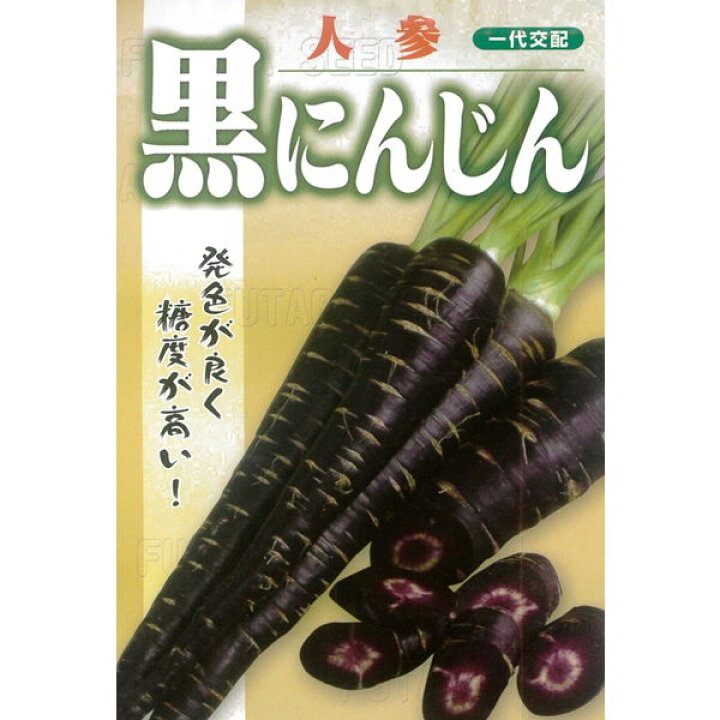 楽天市場 ニンジン種子 黒にんじん 300粒ペレット 次回入荷予定 9月中下旬 フタバ種苗ネットショップ