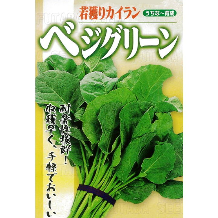 楽天市場】葉野菜(若獲りカイラン) 種 【ベジグリーン 小袋】 : フタバ種苗ネットショップ