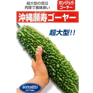  yS[[  (1DL) z S[[ t^oc [ւɂĔ