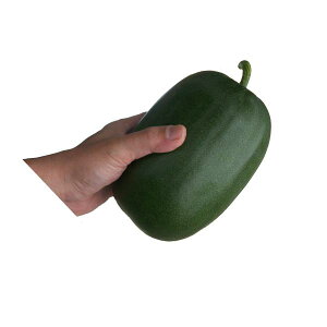 �Ƃ����� �c �y �~�j�~�Z ������ �z �����c 9cm�|�b�g �t�^�o��c