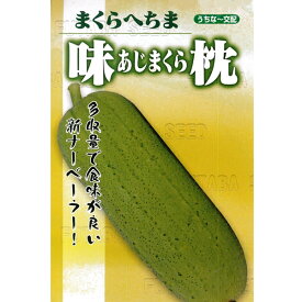 楽天市場 ヘチマ の 苗の通販