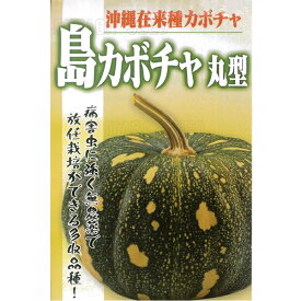 カボチャ (在来品種) 種 【沖縄島カボチャ 丸型 小袋】