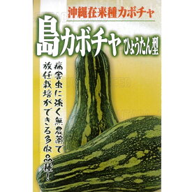 カボチャ (在来品種) 種 【沖縄島カボチャ ひょうたん型 小袋】