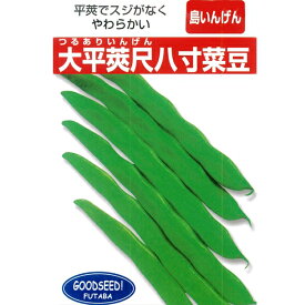 楽天市場 インゲン豆 栽培 種の通販
