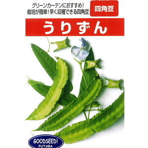 lp  y肸 1bgz2܈ȏwőzցi1000j