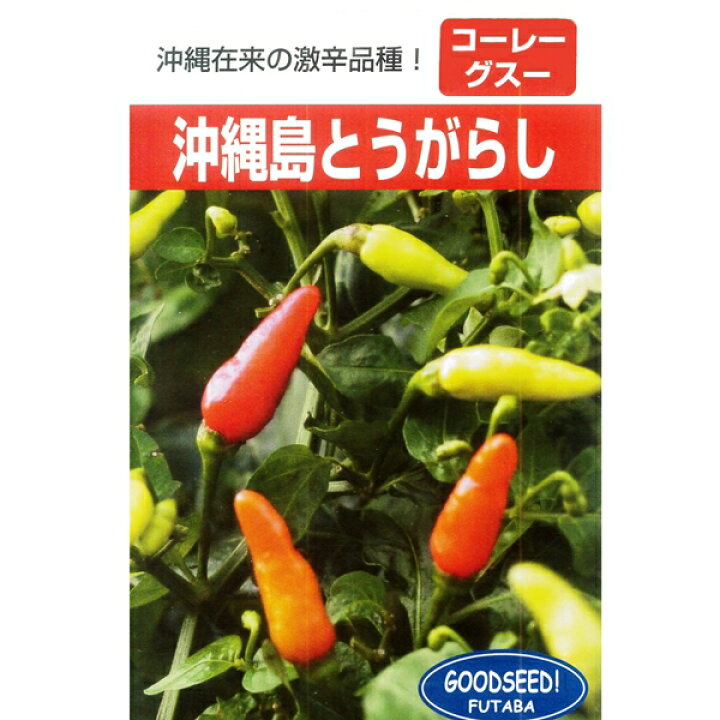 とうがらし 種 【沖縄島とうがらし 小袋】 フタバ種苗ネットショップ