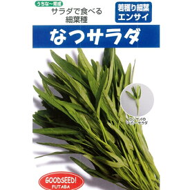 葉野菜(若獲りエンサイ) 種 【なつサラダ　1DL】
