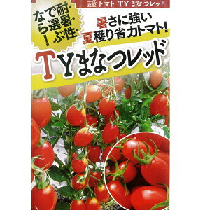 g}g ( ~jg}g )  y TY܂Ȃbh  (10) z t^oc