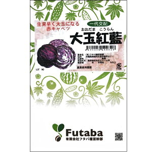 t(Lxc)q yʍg@5000ybgz