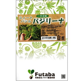 葉野菜(スィートバジル)種子 【バジリーナ　1000粒ペレット】