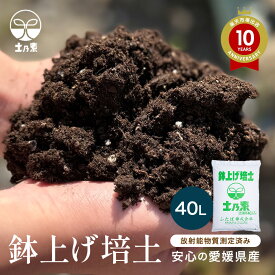 育苗培土 送料無料 鉢上げ培土土乃素 40L 苗作り専用培土 プロも納得の大容量 放射能測定 送料無料 ふたばの土