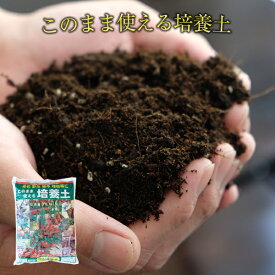 楽天市場 野菜の土 プランターの通販